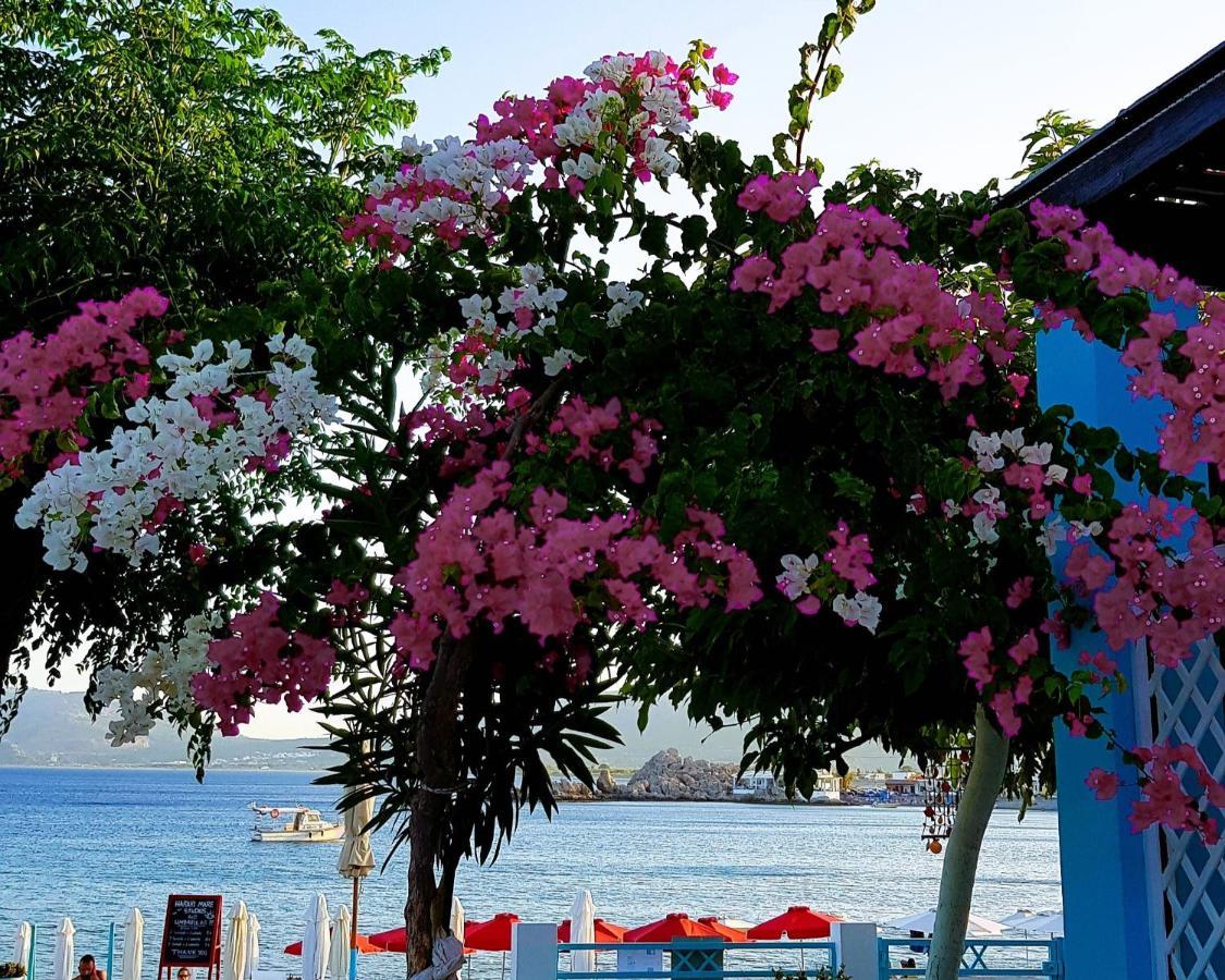 Haraki Mare Studios Beach Front Exterior photo