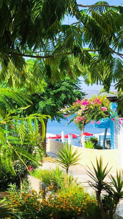 Haraki Mare Studios Beach Front Exterior photo